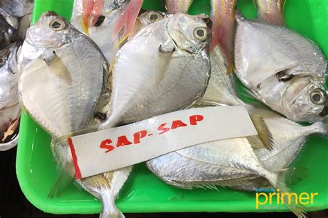 Sapsap fish of the Philippines! .
